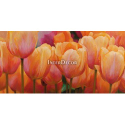 Obraz tulipány