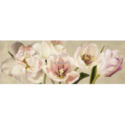 Bílé tulipány 3