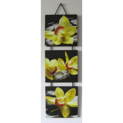 Žlutá orchidej