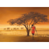 Savana