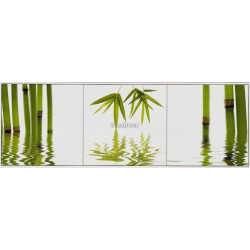 Zelený bambus