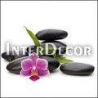 Kameny s orchideji