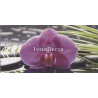 Kameny s orchideji