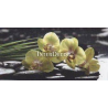 Kameny s orchideji