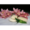 Kameny s orchideji