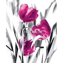 Růžové tulipány