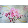 Nástěnný obraz orchidej