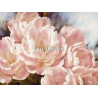 Růžové tulipány