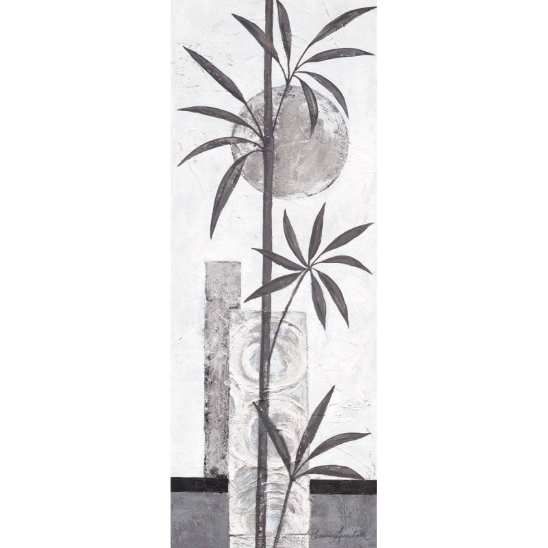 Černo - stříbrný bambus 3