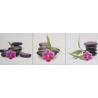 kameny s orchideji