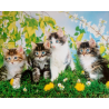 Obraz s koťátky