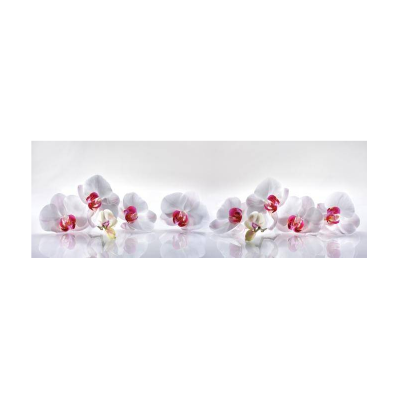 Bílá orchidej Bílá orchidej