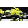 Kameny s orchideji
