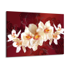 Obraz bílá orchidej