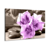 Obraz na plátně s fialovým květem a kameny 3 díly