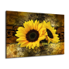 Obraz slunečnice