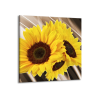Abstraktní obraz slunečnice čtvercový
