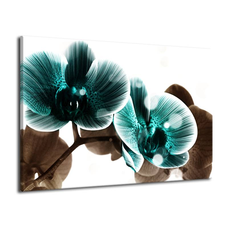 Obraz  modrá orchidej