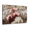 Obraz tulipány