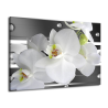 Obraz bílá orchidej