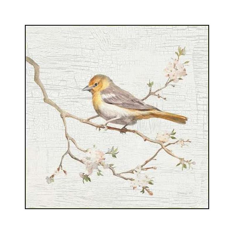 Ptáček v květech III