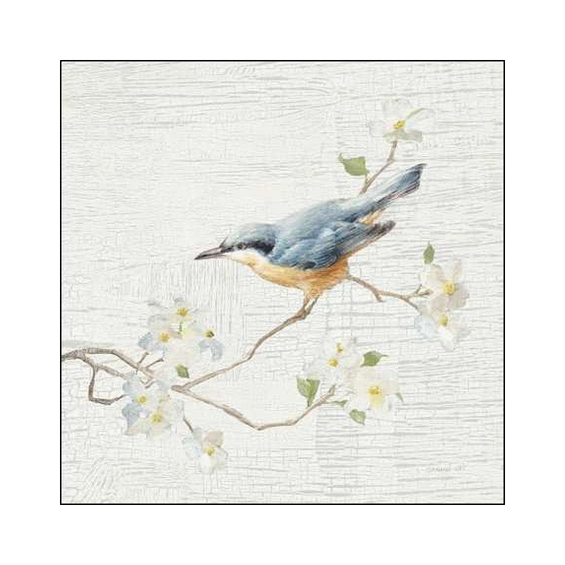 Ptáček v květech IV