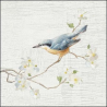 Ptáček v květech IV