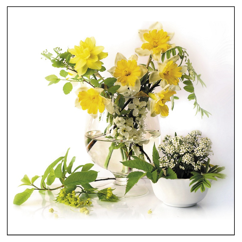 Květinové zátiší