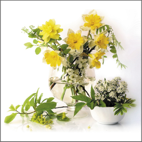 Květinové zátiší