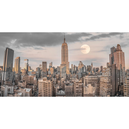Empire State Building s panoramatem Manhattanu
