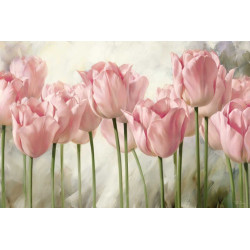 Růžové tulipány 1 obraz na...