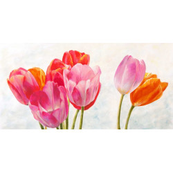 Barevné tulipány 1