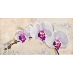 Obraz růž. orchidej