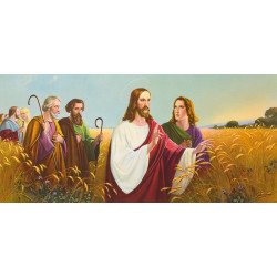 Svaté obrazy - Kristus v poli