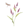 Botanická rostlina 1