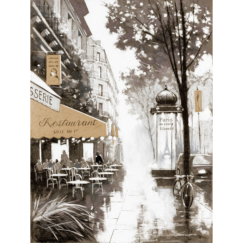 Procházka Paříží II