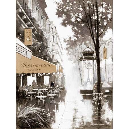 Procházka Paříží II