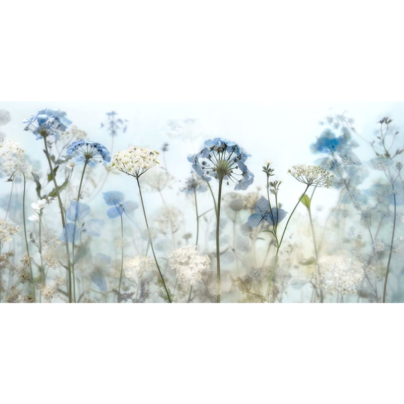 Časný ranní šepot