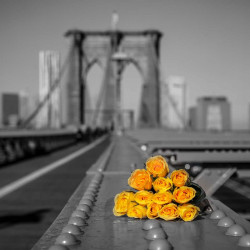 Kytice růží na Brooklynském...