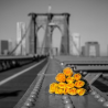 Kytice růží na Brooklynském mostě v New Yorku