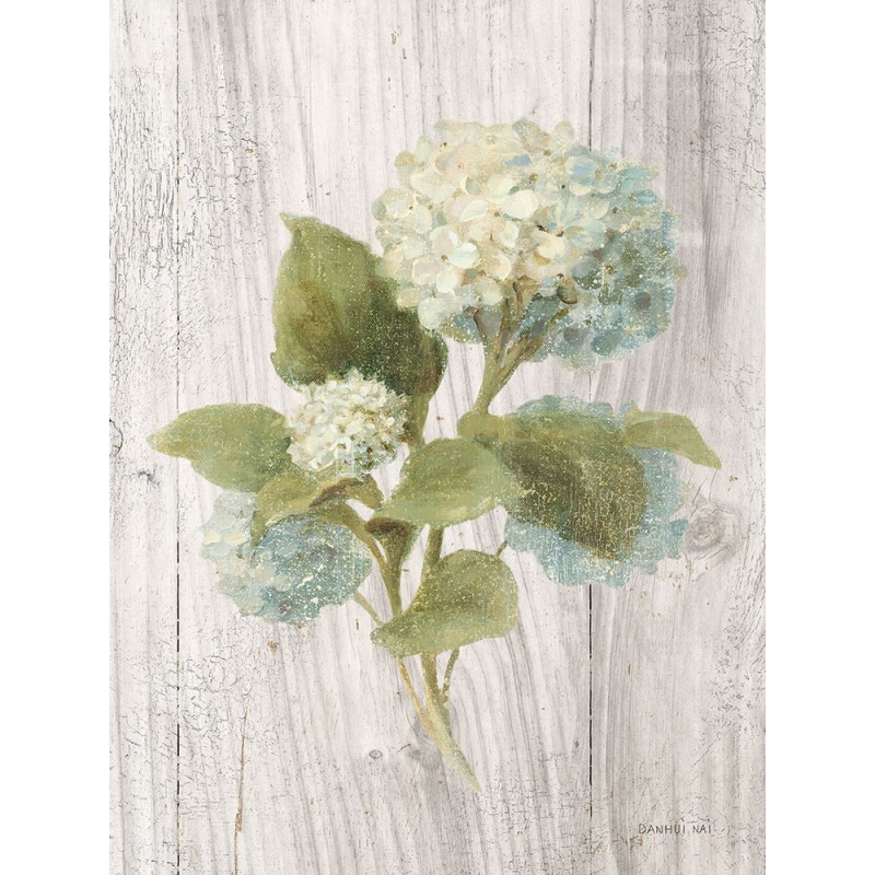 Květiny vonné chalupy IV