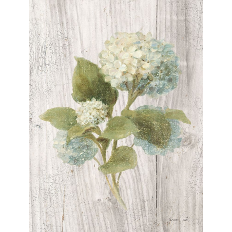 Květiny vonné chalupy IV