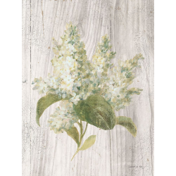 Květiny vonné chalupy II