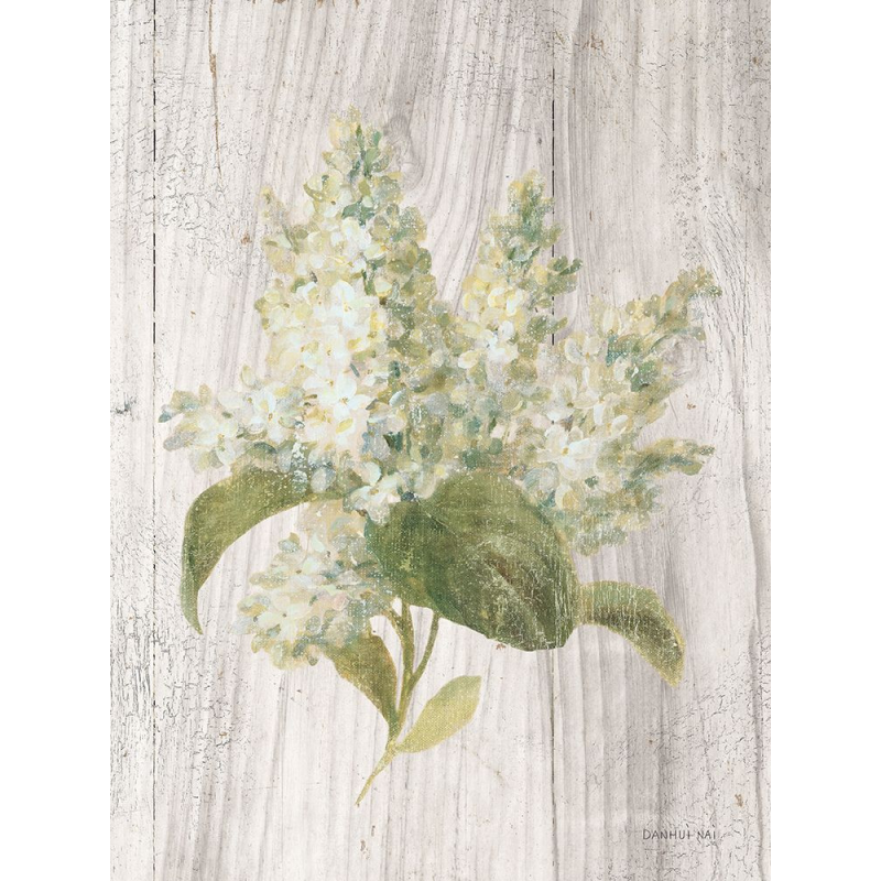 Květiny vonné chalupy II