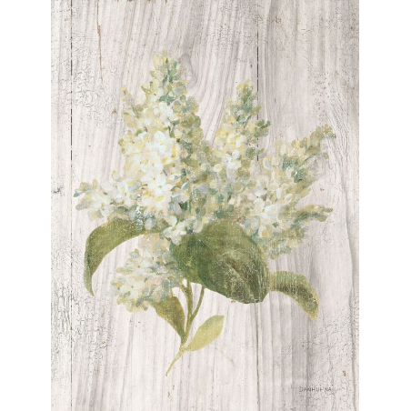 Květiny vonné chalupy II