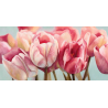 Obraz růžové tulipány