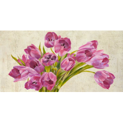 Tulipány