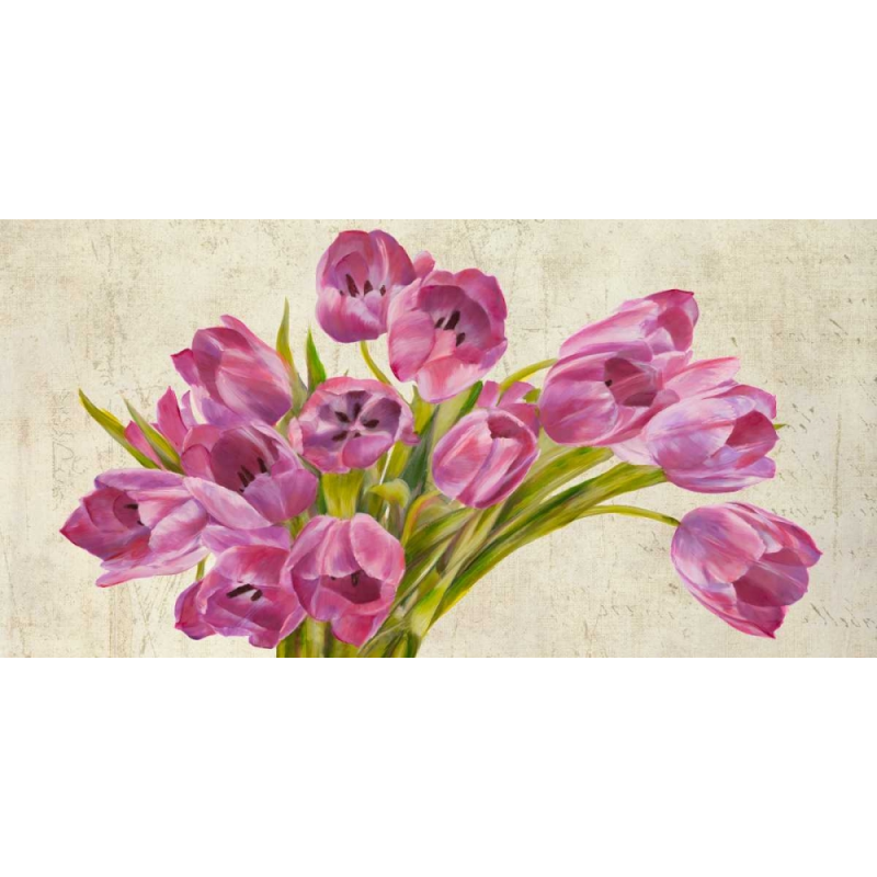 Tulipány Tulipány
