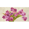 Tulipány