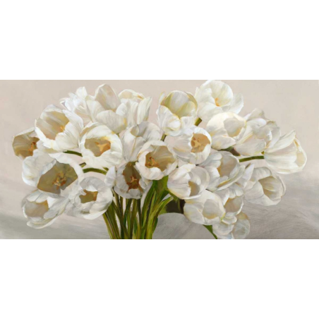 Bílé tulipány